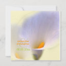 Search for calla lily wedding invitations Lillies