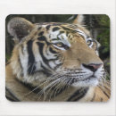 Search for close mousepads Animal