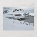 Search for antarctica postcards Cold