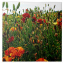 Search for fields photography Floral