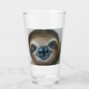 Search for sloth tumblers Rainforest