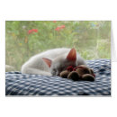 Search for sleeping beauty Rest