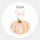 Search for baby shower gender reveal stickers Pumpkin