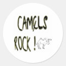 Search for camels stickers Fun
