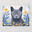 Search for russian blue cat postcards Nebelung