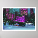 Search for central park winter posters City