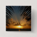 Search for seascape badges Nature