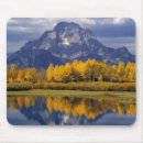 Search for mirrored mousepads Fall colour