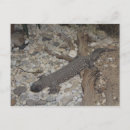 Search for beaded postcards Reptile