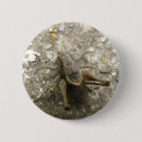 Search for invertebrate badges Nature