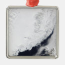 Search for greenland christmas tree decorations Photography