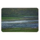 Search for geese magnets Birds