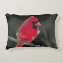 Search for tree branch cushions Bird
