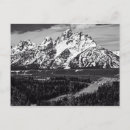Search for snake river Wyoming