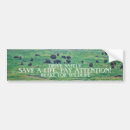 Search for bison bumper stickers Wildlife