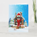 Search for havanese christmas cards Animal