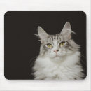 Search for coon electronics Animals