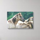 Search for horse canvas prints Equine