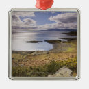 Search for scotland christmas tree decorations Nature