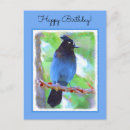 Search for jay postcards Bird