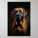 Search for mastiffs posters Funny