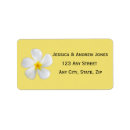 Search for plumeria return address labels Tropical flowers