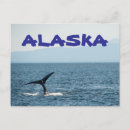Search for whaling postcards Alaska