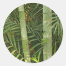 Search for bamboo stickers Tropical