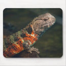 Search for crocodiles mousepads Lizard