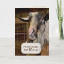 Search for 97th birthday cards Humour
