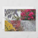 Search for four seasons cards Beauty