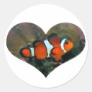 Search for clown fish stickers Nature