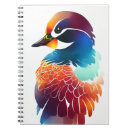 Search for wild duck Adventure