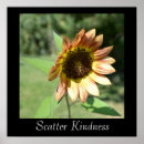 Search for scatter posters Photography