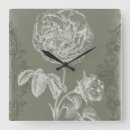 Search for botanical clocks Silhouette