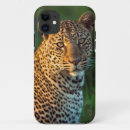Search for cubs iphone cases Kenya