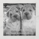 Search for puppy party invitations Cute