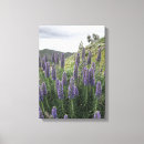 Search for madeira posters Ocean