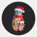 Search for tabby stickers Cat