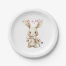 Search for alice wonderland white rabbit plates Bunny