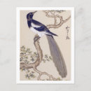 Search for magpie postcards Animal