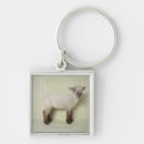 Search for lamb key rings Sheep
