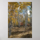 Search for opener posters Fall