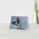 Search for thistle cards Plant