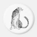 Search for cheetahs magnets Jungle