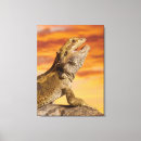 Search for dragon scale art Animal
