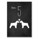 Search for dogs table cards Pets