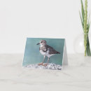 Search for plover cards Shore
