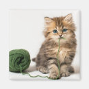 Search for yarn magnets Kitten