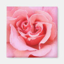 Search for petals magnets Nature
